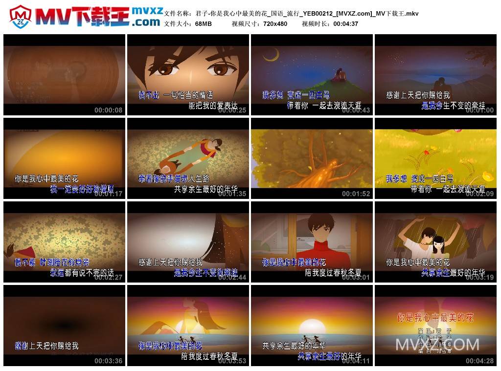 君子-你是我心中最美的花_国语_流行_YEB00212